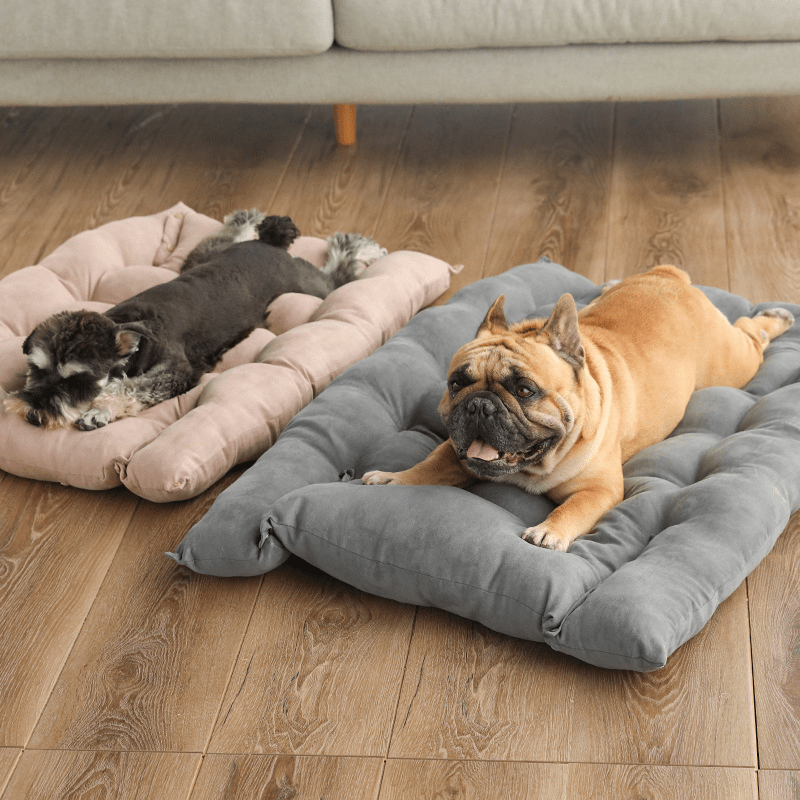 Folding Nest Sofa Bed - TechShed