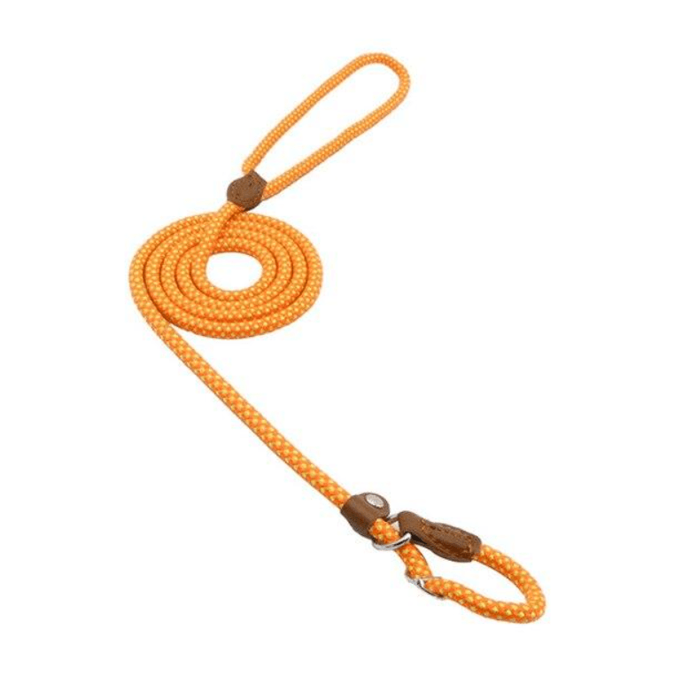 Nylon Pup Set - TechShed